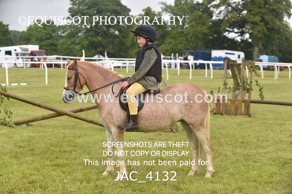 JAC_4132 - 40CM WORKING HUNTER