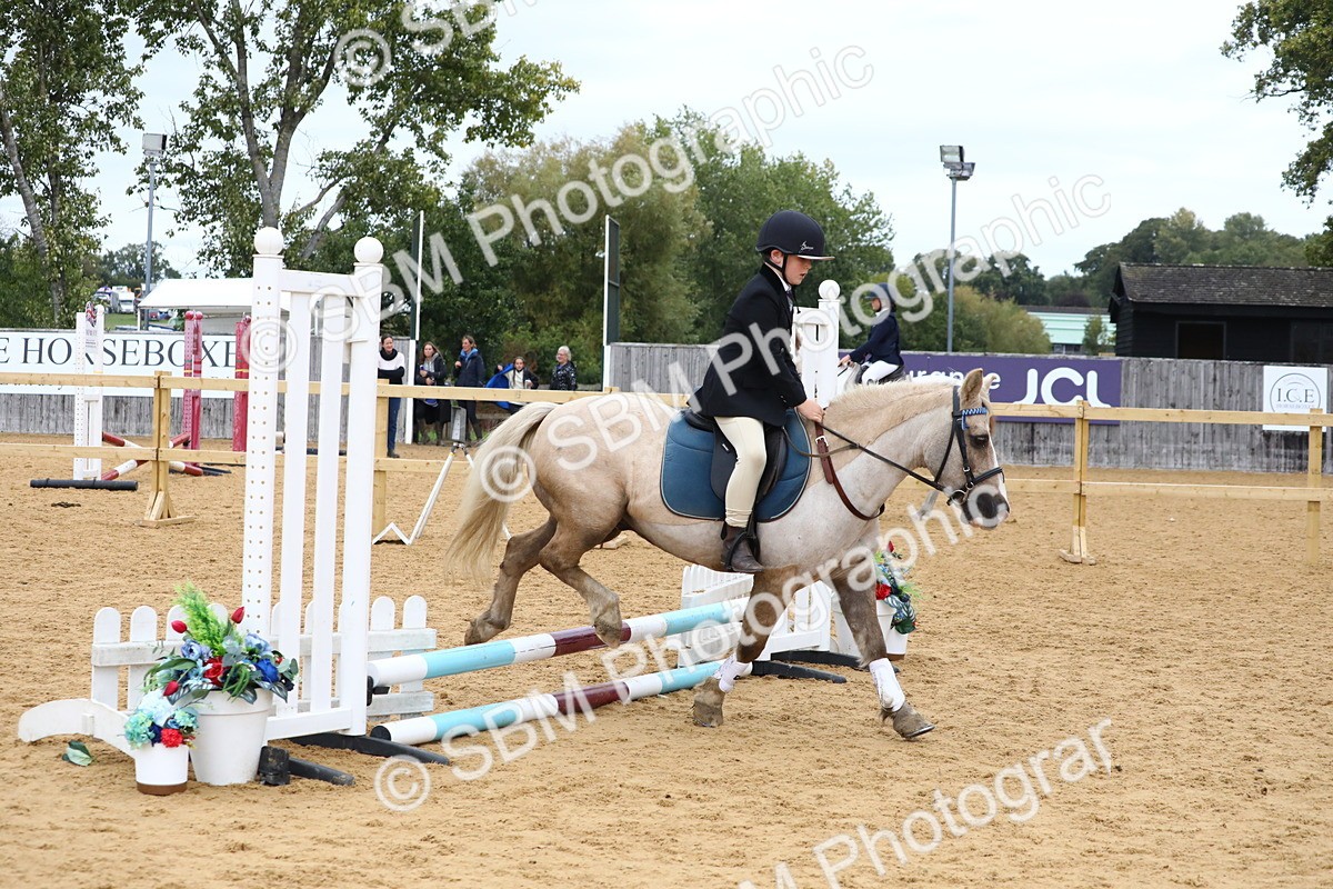 SBM_68170 - J3b - Mini Tour Junior Pony 40cm Championship