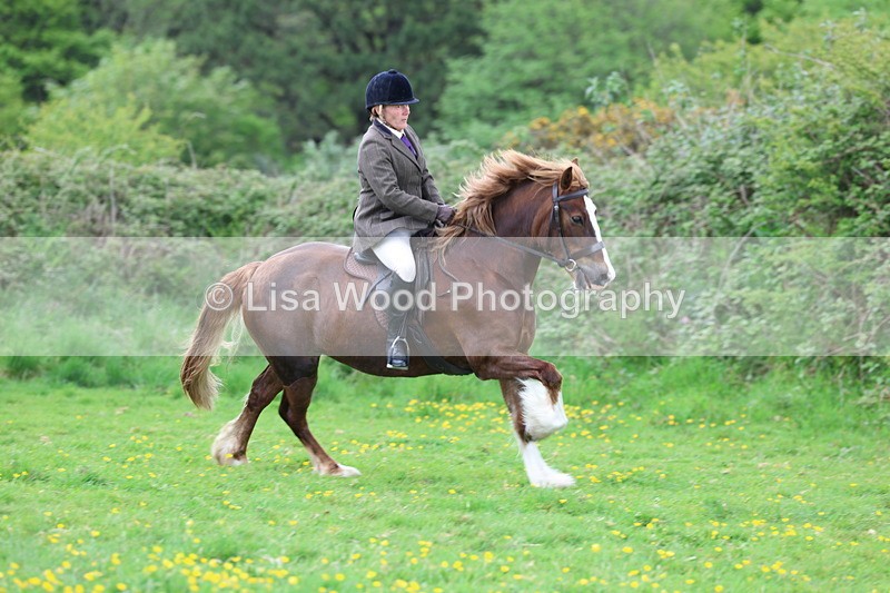 3E7A0688 - Class 5: Ridden M & M Senior