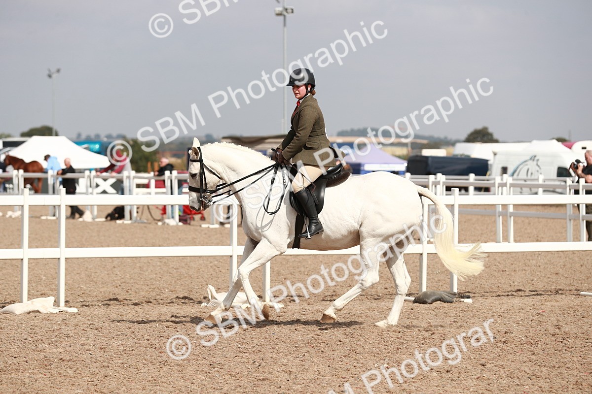 SBM_14853 - Class 212 Ridden Hunter - Small