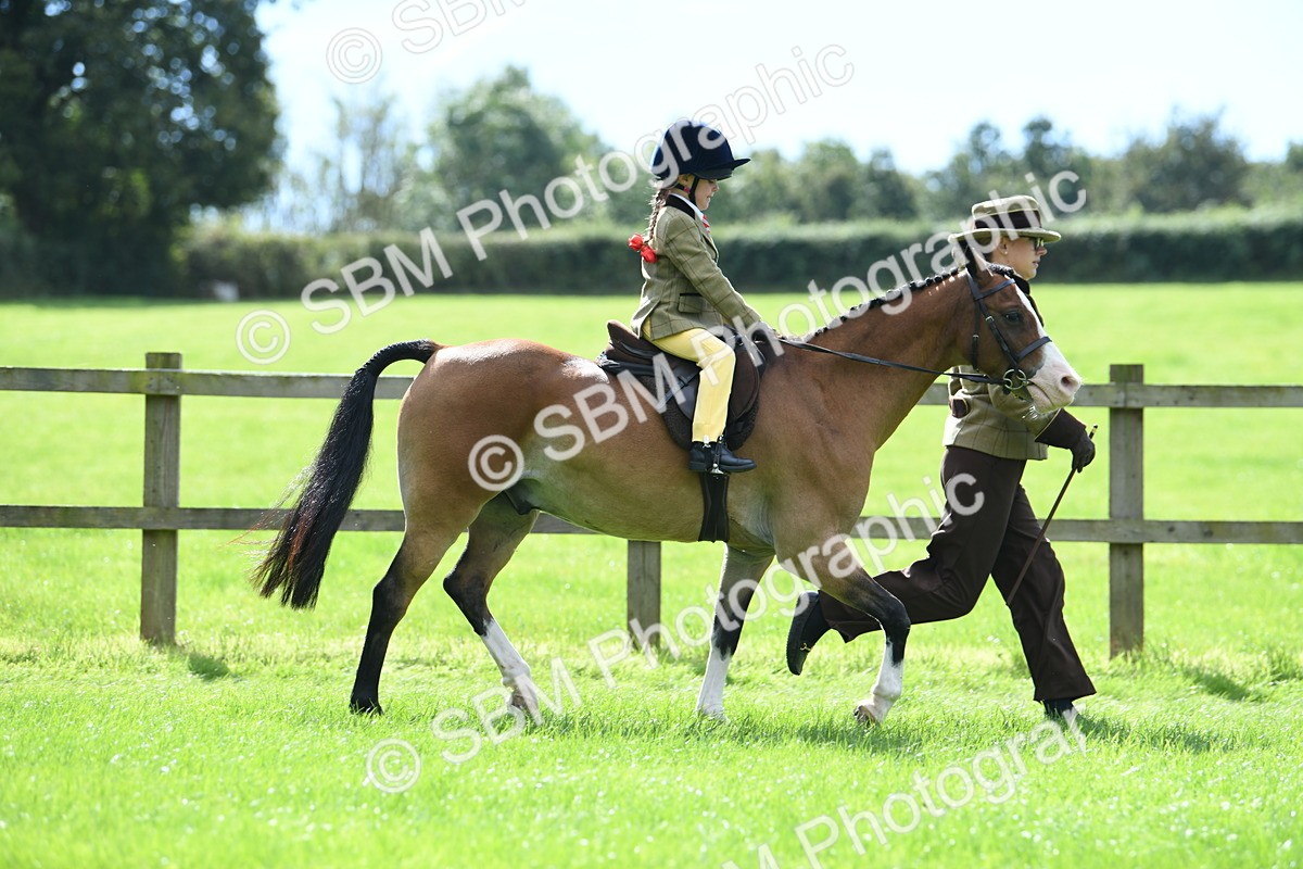 SBM_41203 - S19 - Lead Rein Show & Show Hunter Pony