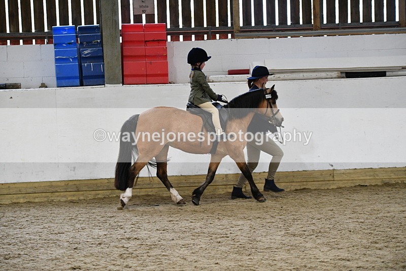 WJ5_6560 - Class 10 Childs Pony