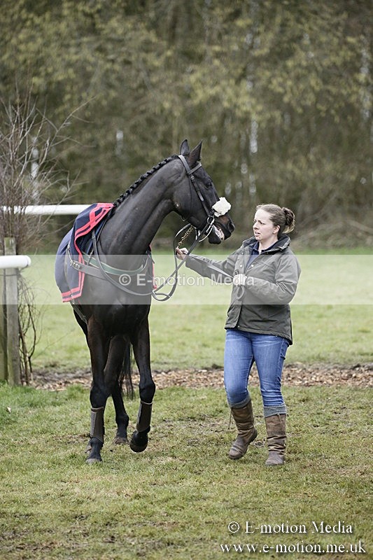 PtP 110318 192 - Hampshire Hunt Point-to-Point Hackwood Park 11/03/18