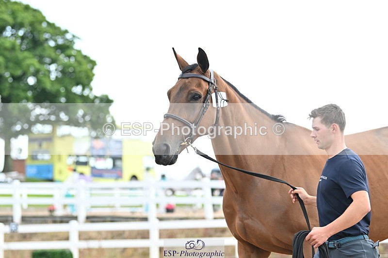 240717A-143640-02146 - Trot Up 2pm to 3pm - This folder is not in time order