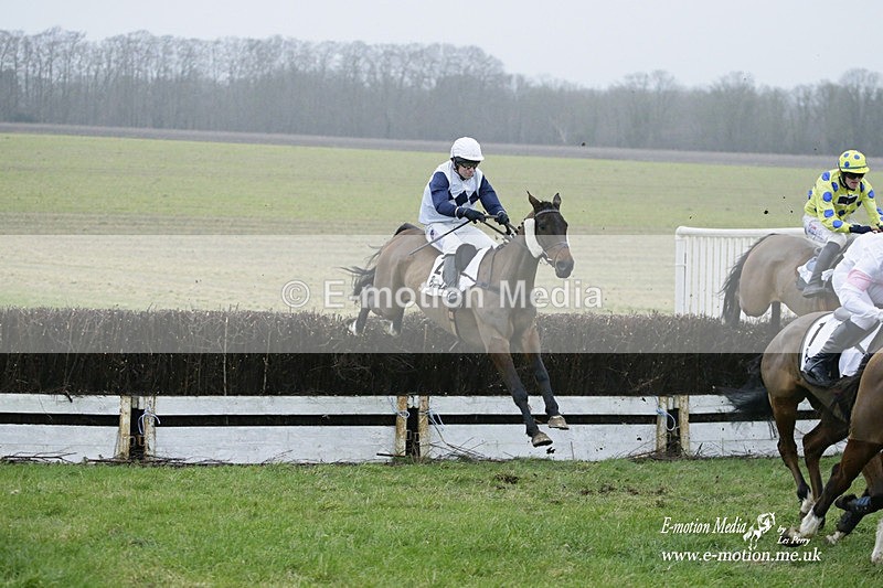 PtP 200222 693 - Countryside Alliance PtP Badbury Rings 20/02/22