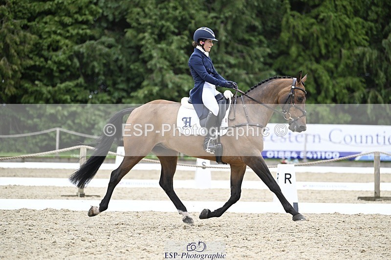 240523-153814-05275 - 439-HILDARE_EASTON_D'ECLIPSE-Danielle_Mccormack