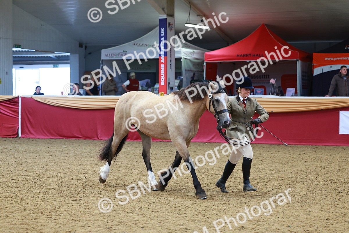 SBM_04222 - Class 9R - IH Pre-Vet