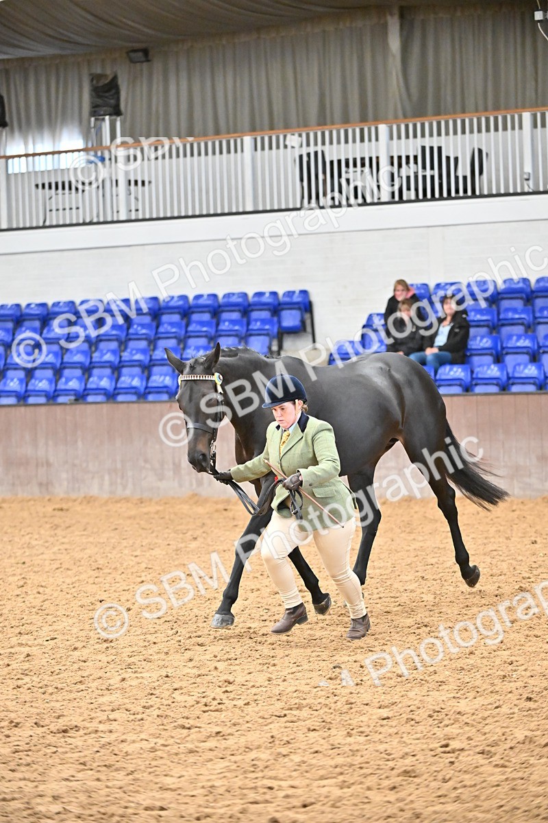 SBM_000788 - Class 16 - In Hand Showing Supreme Championships