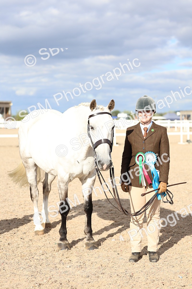 SBM_18792 - Class 317 - IH Pure Bred Horse-Pony