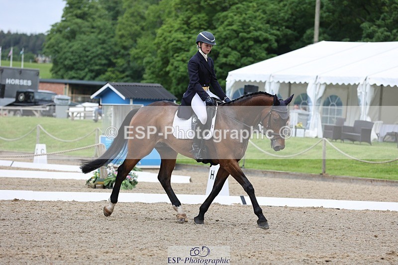 240523-101846-03277 - 211-THE_CLASSIC_COMPOSER-Rosie_Ringer