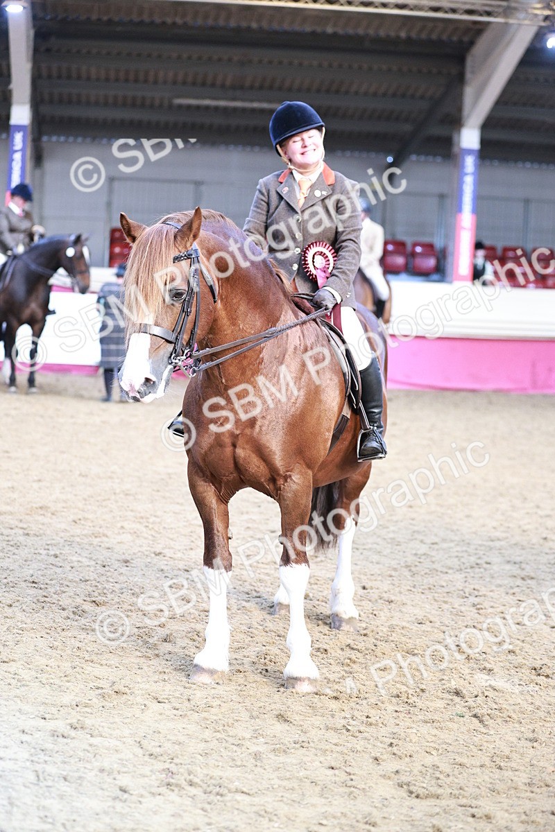 SBM_09124 - Class 12R - Regional Ridden Pre-Vet