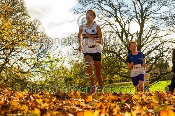 NatRel25-913702 - Young Female Set Two