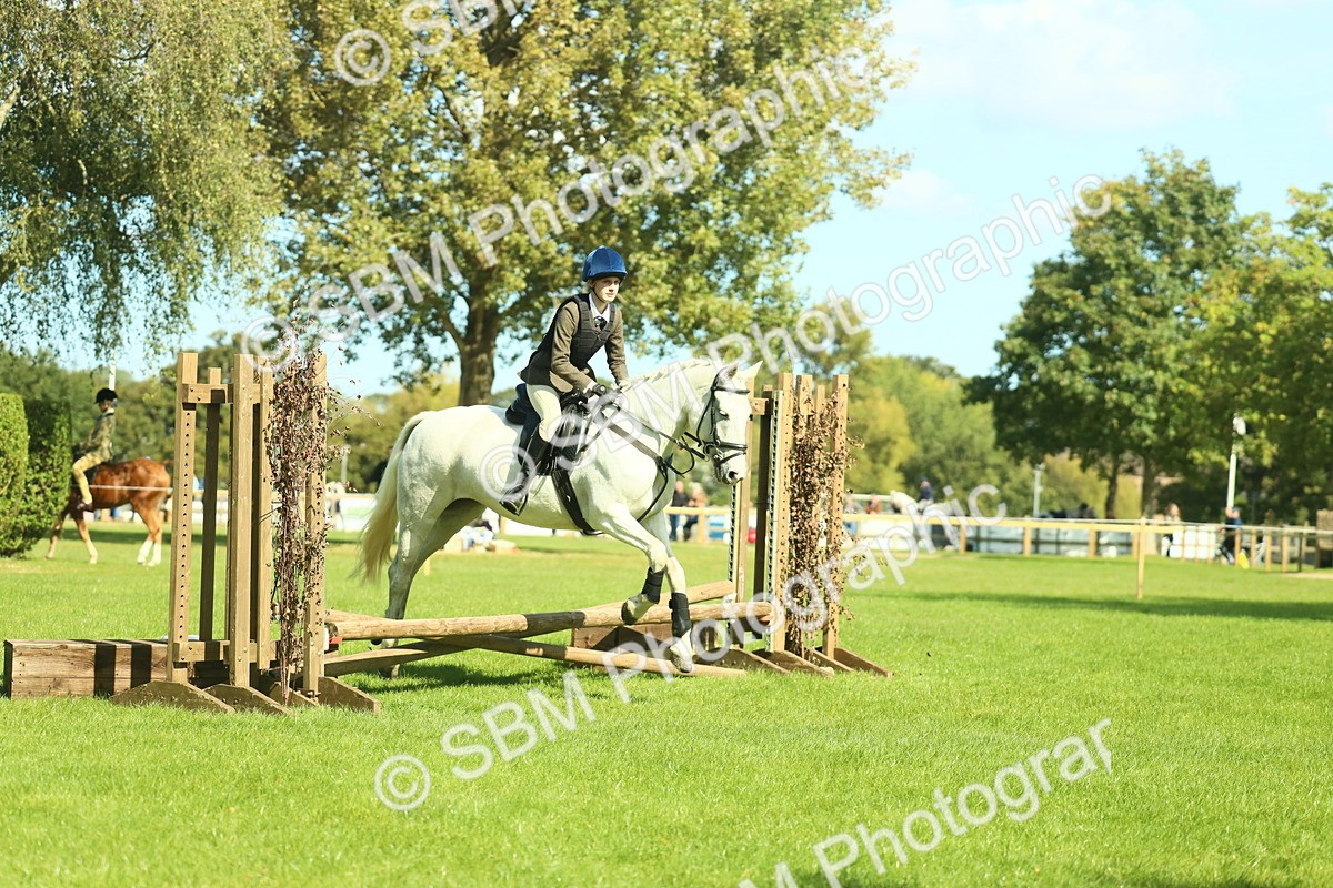 SBM_39266 - S29 - Novice & Newcomers Working Hunter Pony