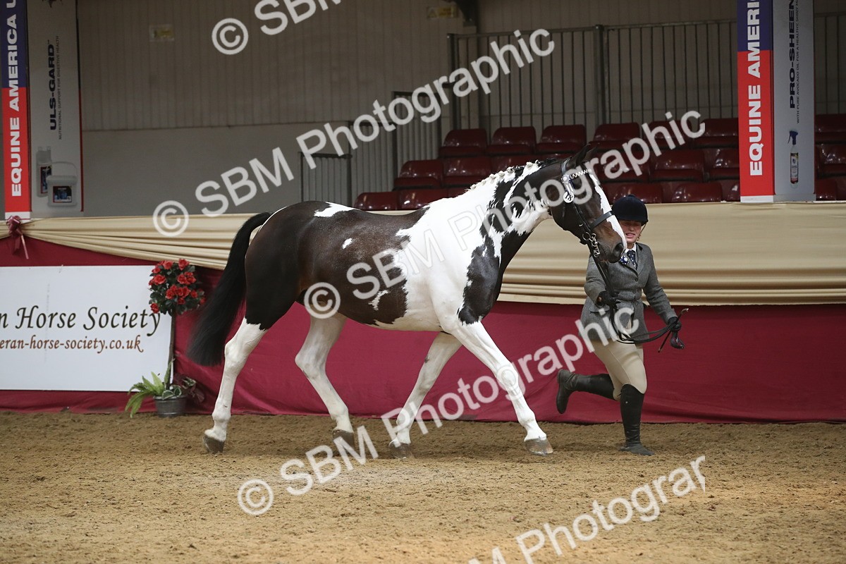 SBM_05567 - Class 9R - Regional IH Pre-Vet