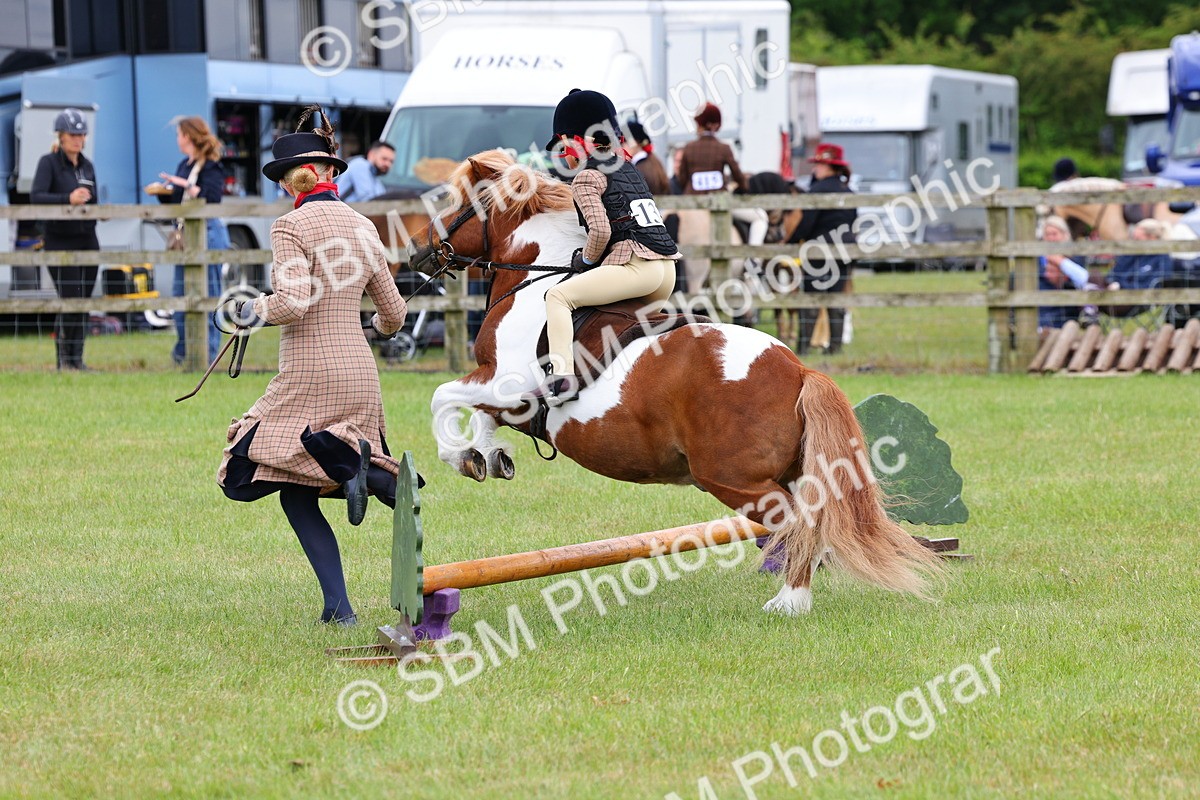 SBM_08237 - Class 42-43 - LIHS BSPS Heritage Working Sports Pony