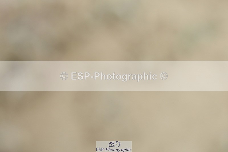 230701A-140535-07513 - Cls 16+18 FEI PSG + Inter I