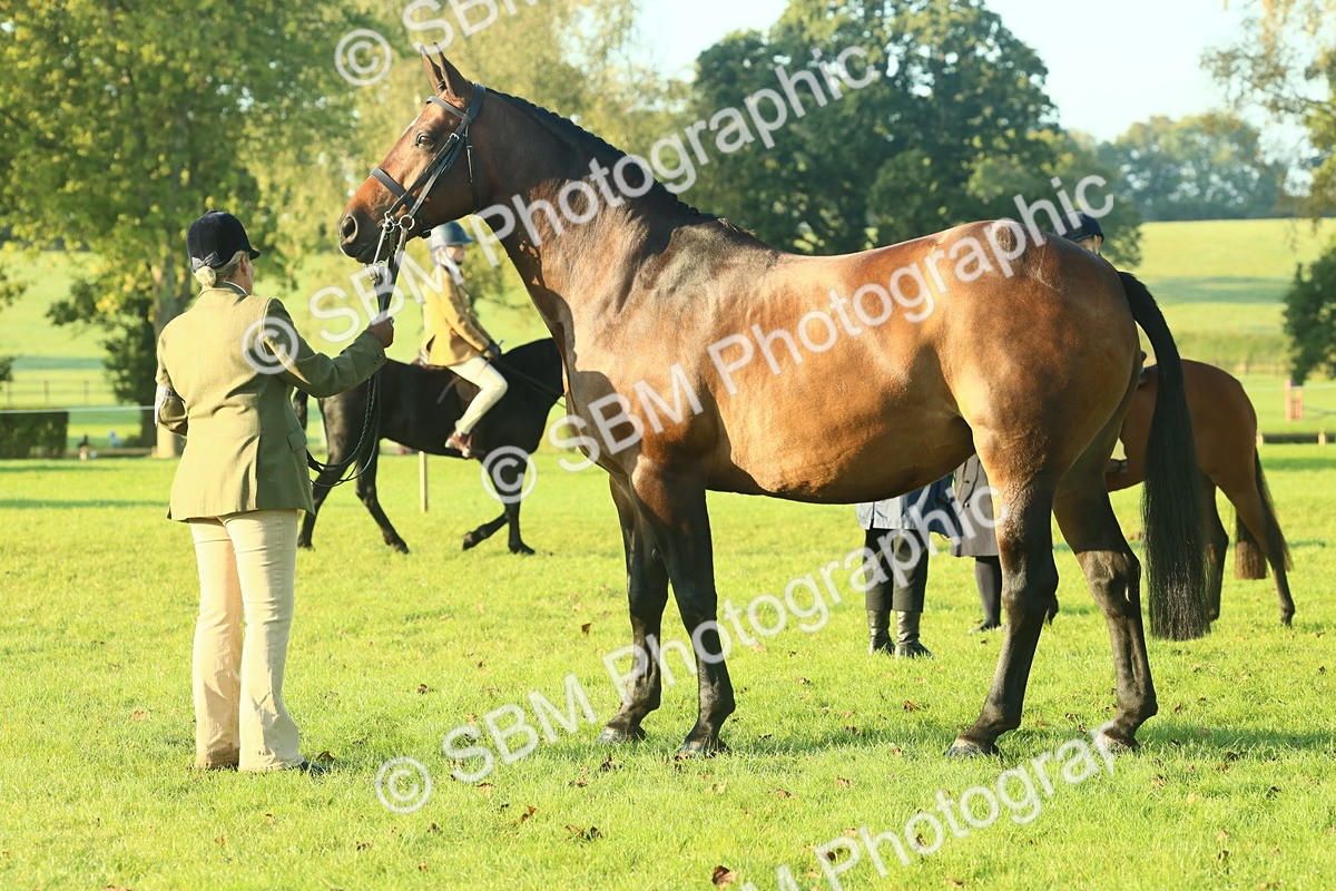 SBM_56685 - S36 - Starters Best Turnout