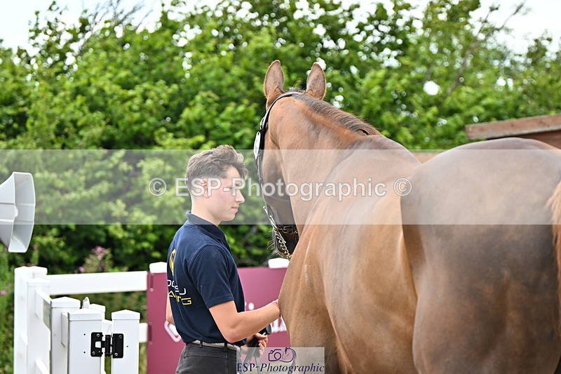 240718A-105324-01959 - Trot Up 2pm to 3pm - This folder is not in time order