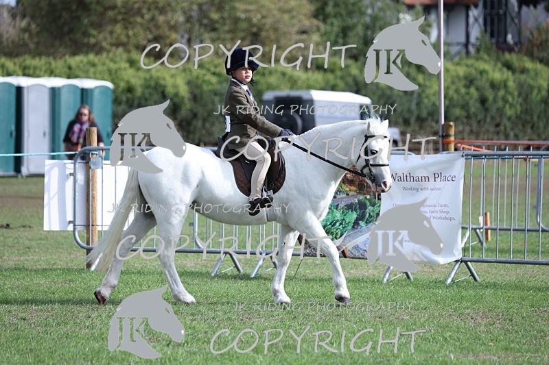 APP_4101 - Class 15a/b Pony club pony/Riding club horse