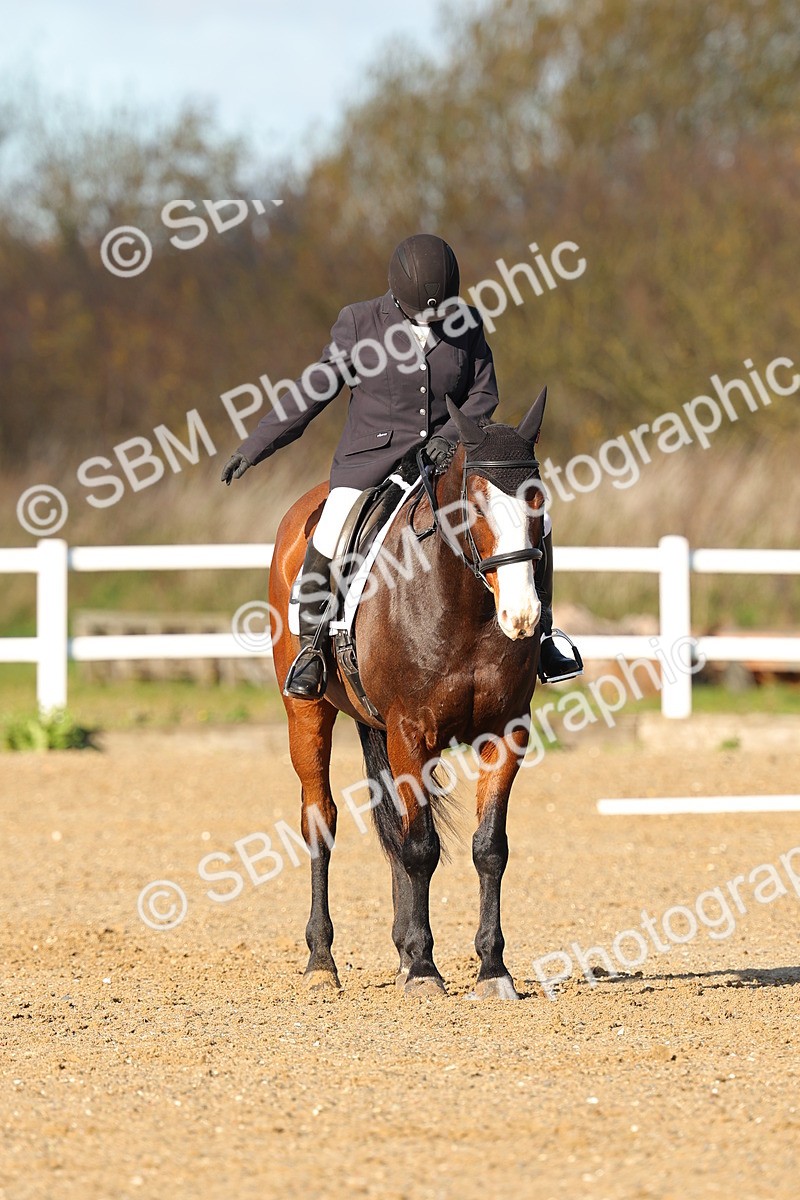 SBM_000542 - Novice 4