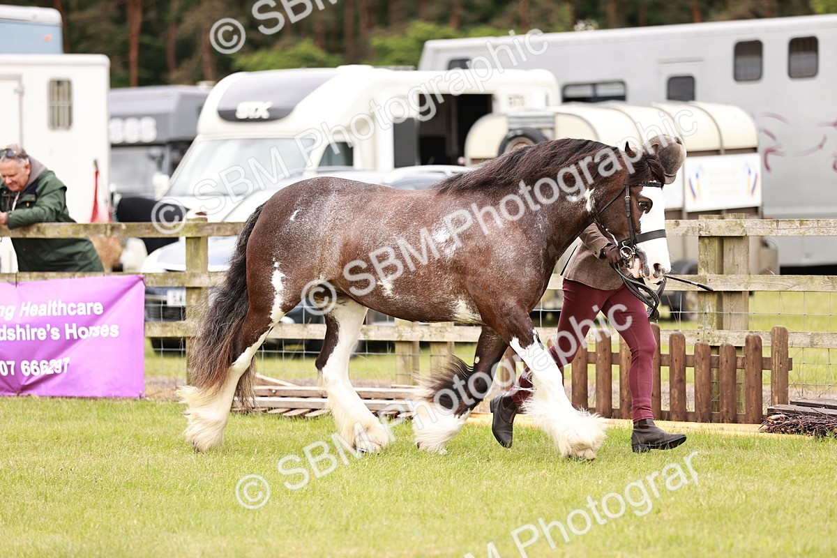 SBM_04661 - Class 5-8 - BSPA In hand