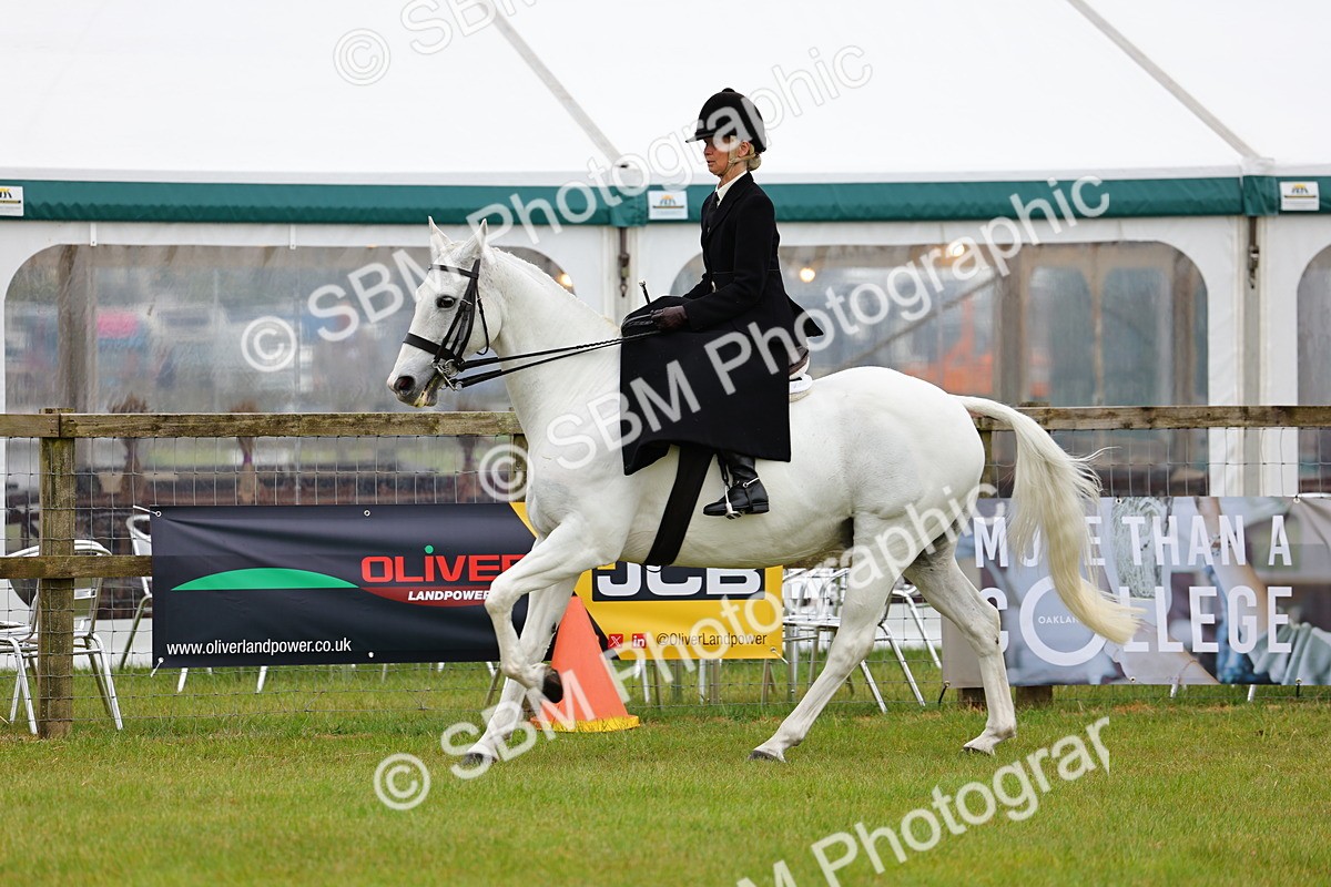 SBM_02738 - Class 9-11 Side Saddle including LIHS Rising Star Ladies Show Horse