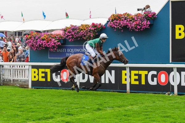 100923-Pony Race 1-0116 - Pony Race 1 12.25 The Dragon (TV and Film) Studios Pony Race 148cm & Under