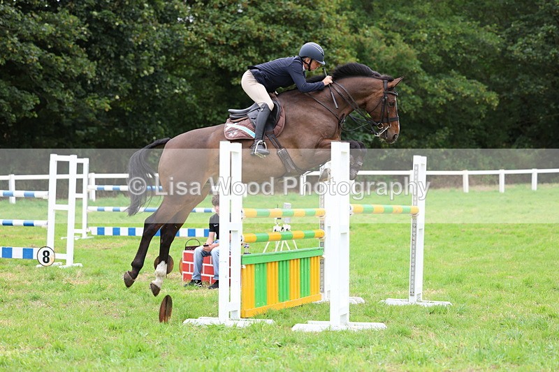 3E7A8321 - Class 8: Senior Foxhunter/1.20m open