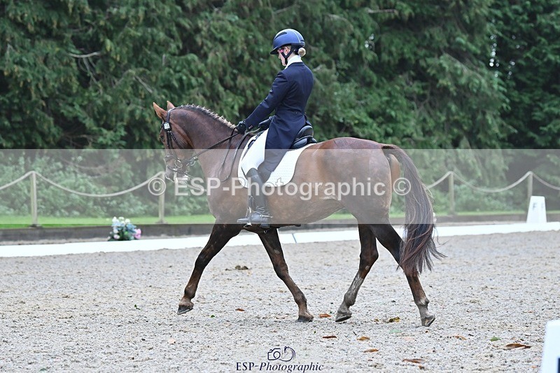 231019-113734-02190 - 110-MARTINS.IRISH.EDDIE-Allegra.Cowley-DR