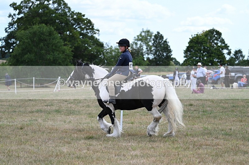 WJ7_5021 - Class 12 Ridden Cob