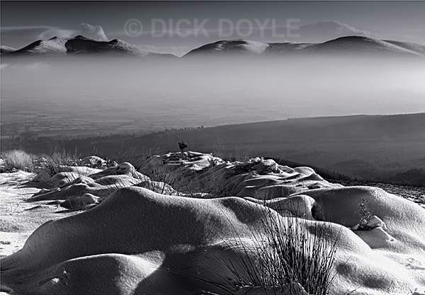 - MONOCHROME LANDSCAPES