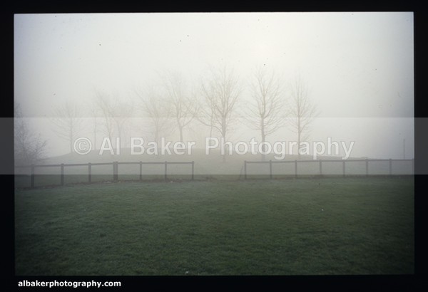 Bi01 - Hulme Gallery (a)