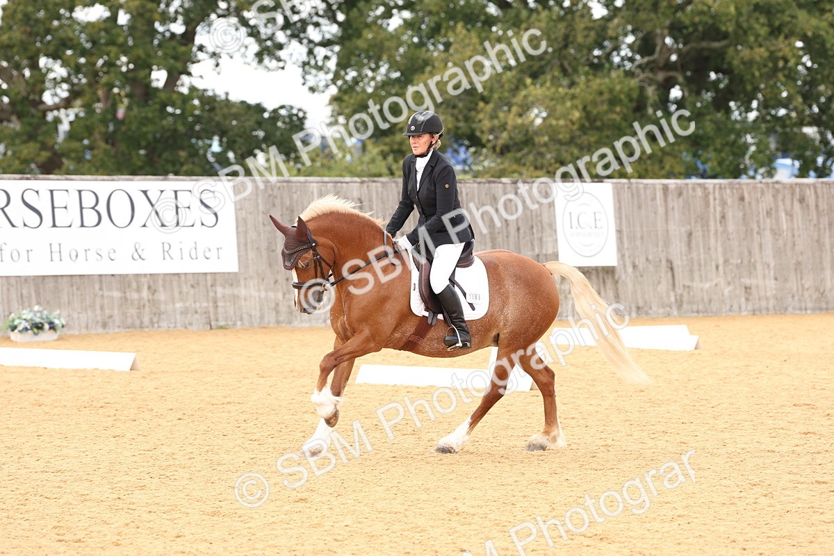 SBM_19522 - D10 - Small Tour Championship Prelim 2