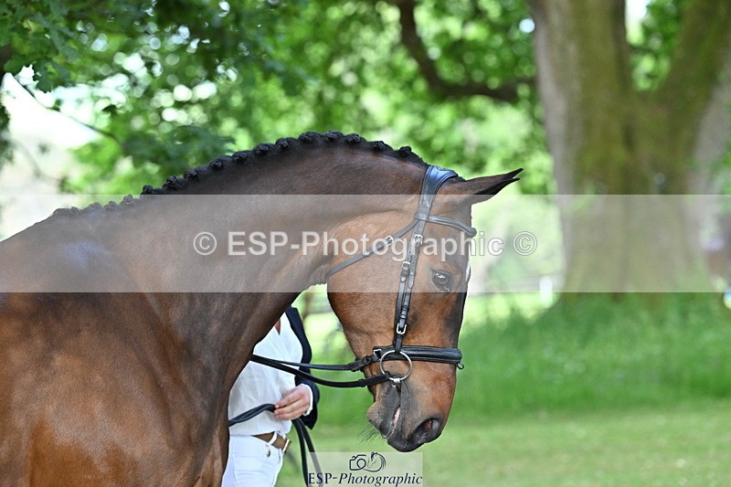 250521A-170256-01490 - C-281-Holly.Morris-NADIR.DE.LEAU