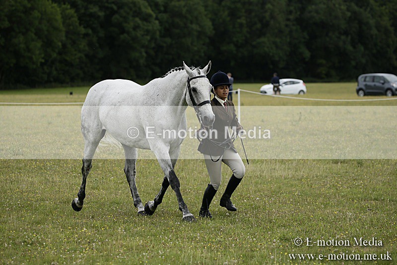 BVR160717-223 - Ring 2 BVRC Show 16/07/17