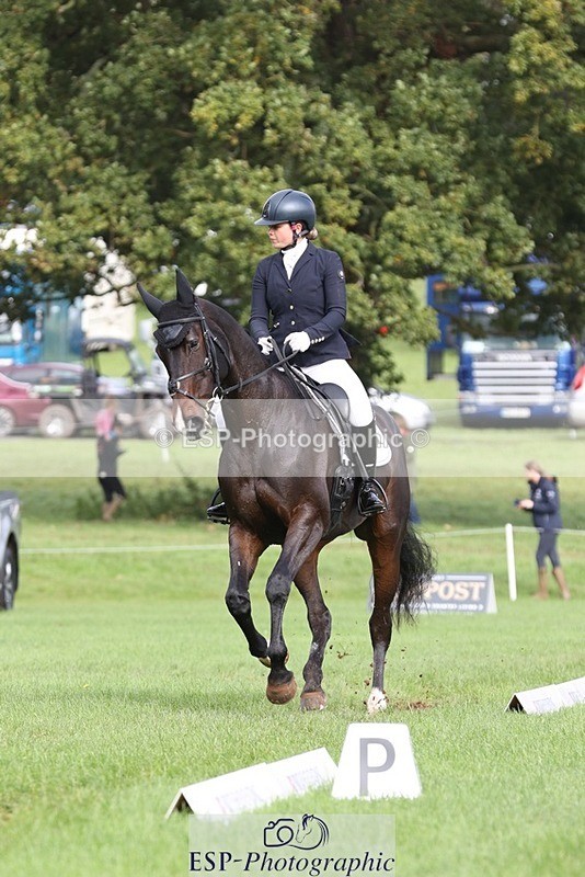 231019-123652-03710 - 632-ANGELL'S.CHOICE-Saffron.Cresswell-DR