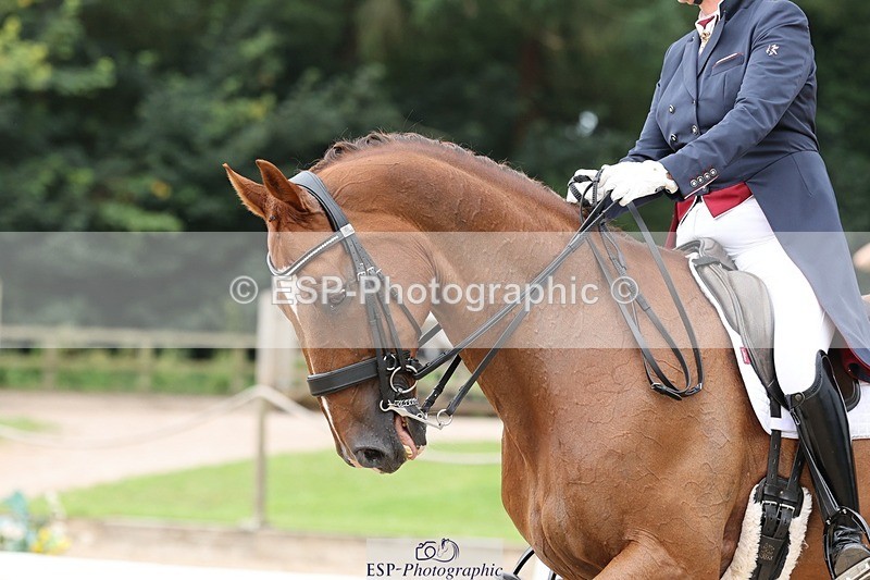 240810-144224-03790 - 121-Debbie.Cole-Dancer.III