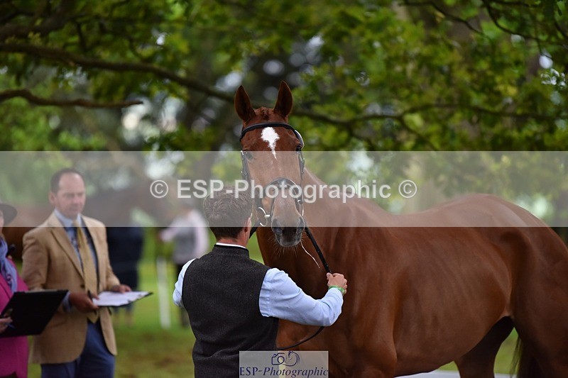 240522-171520-01483 - 280-SHANNONDALE_ARNOLD-Tom_McEwen