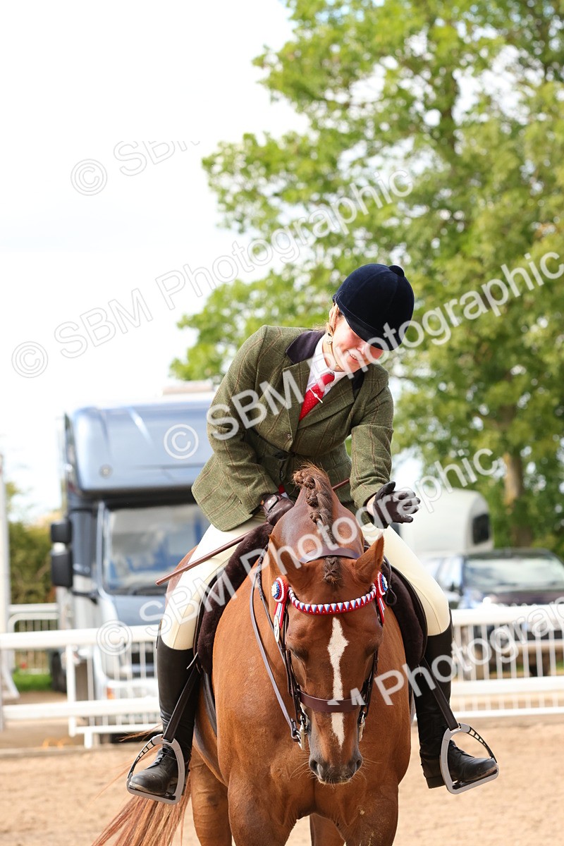 SBM_14158 - Class 213 - Ridden Hack Riding Horse
