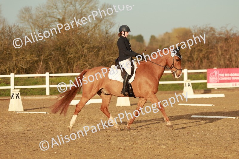 20260314-6478 - CT7 - Elementary 2