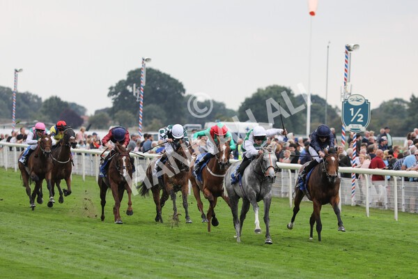 yr18082022r4-26 - Race 4 3.35pm Darley Yorkshire Oaks (British Champions Series Race)