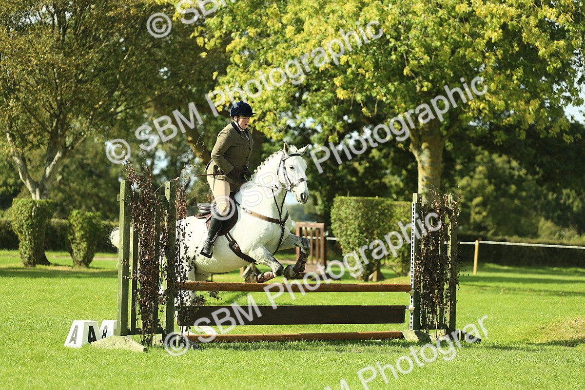 SBM_48061 - S32 - Novice & Newcomers Working Hunter