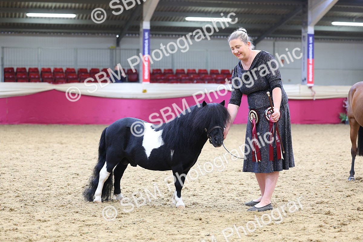 SBM_23029 - Class 903 - Supreme Final - IH Pre Vet