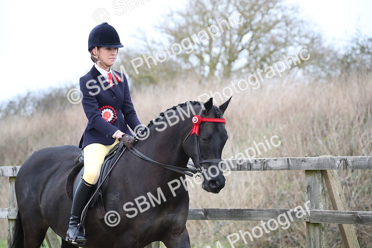 SBM_004784 - Class 5-9 - NPS In Hand-Show Hunter-Intermediate Ridden Inc Ridden Championship