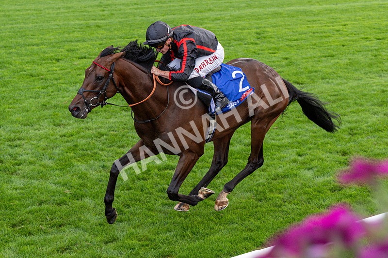190826-Race 3-Maltese Cross-0351 - Race 3 15.00pm Sky Bet Great Voltigeur Stakes