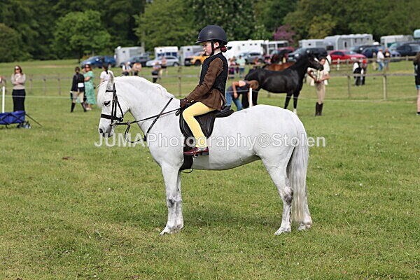 IMG_2216 - Working Hunter