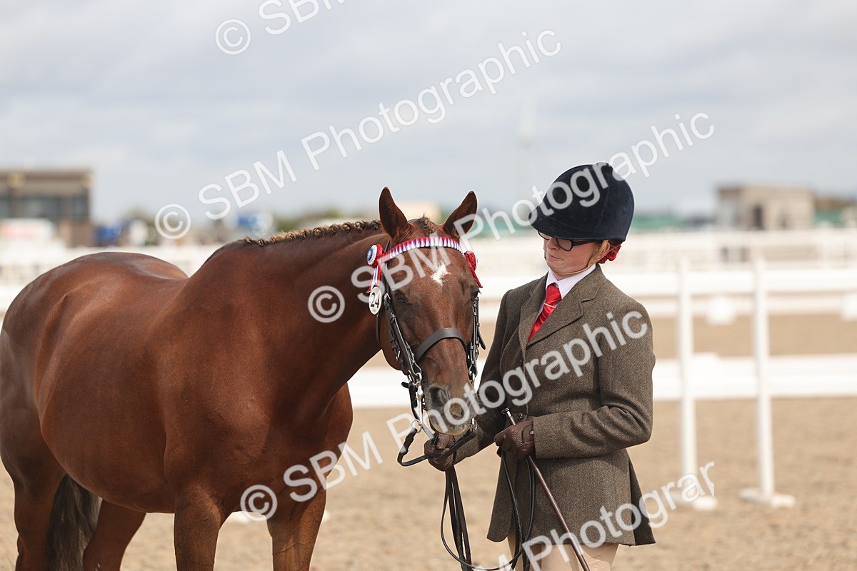 SBM_04996 - Class 20 - IH Veteran