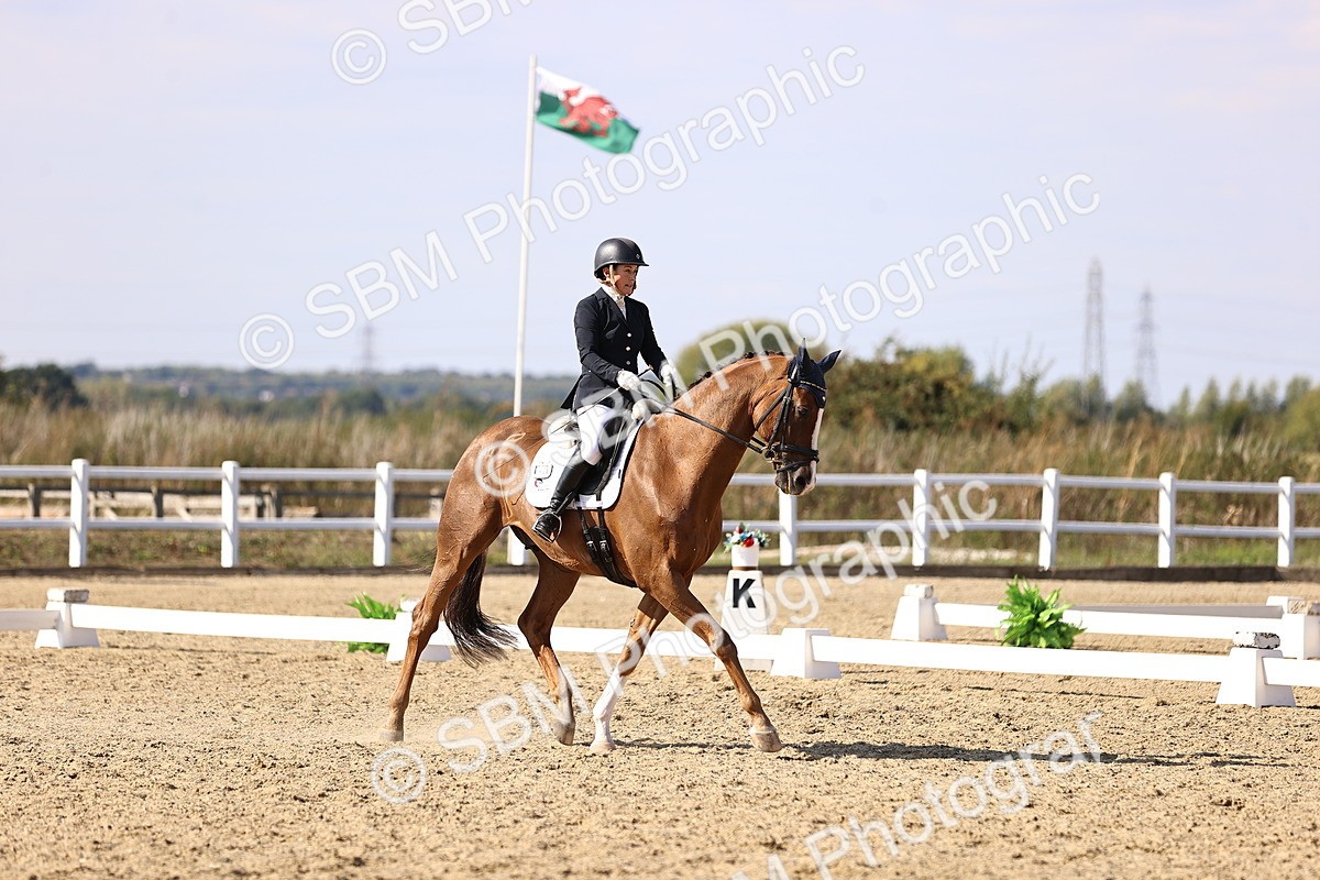 SBM_015244 - Class 8 - Medium 5