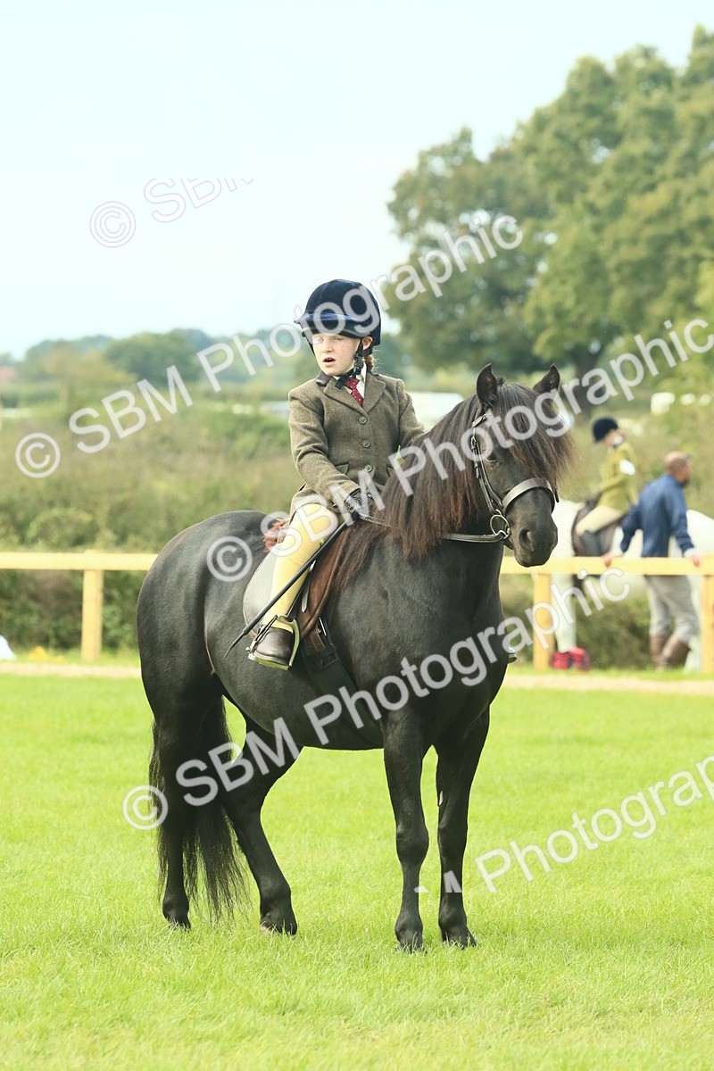 SBM_69900 - S59 - Mountain & Moorland Ridden Small Breeds
