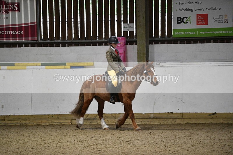 WJ5_8205 - Class 14 Novice Ridden/Rider